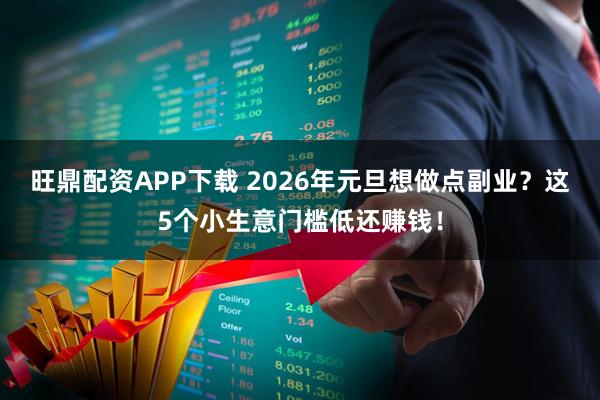 旺鼎配资APP下载 2026年元旦想做点副业？这5个小生意门槛低还赚钱！