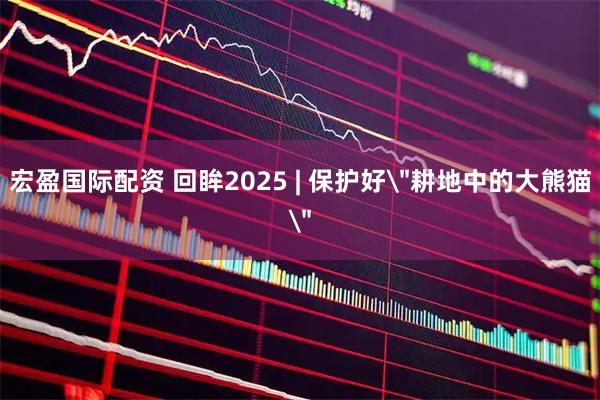 宏盈国际配资 回眸2025 | 保护好＂耕地中的大熊猫＂