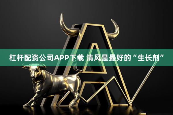 杠杆配资公司APP下载 清风是最好的“生长剂”