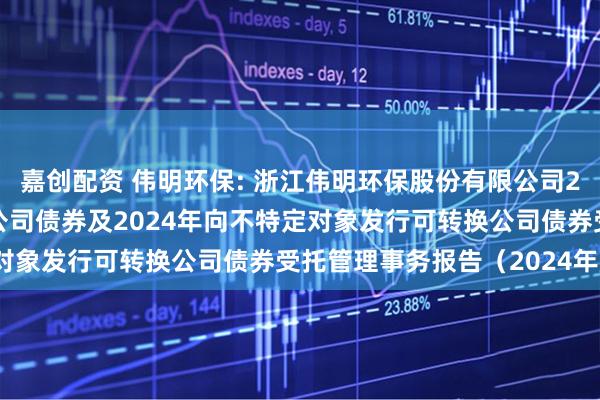 嘉创配资 伟明环保: 浙江伟明环保股份有限公司2022年公开发行可转换公司债券及2024年向不特定对象发行可转换公司债券受托管理事务报告（2024年度）
